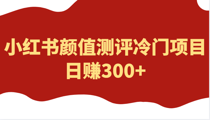 外面4980的项目,小红书颜值测评冷门项目,日赚300+