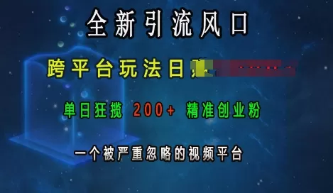 引流风口,跨平台玩法日入上k,单日200+创业粉,一个被严重忽略的视频平台-颜夕资源网-第23张图片 引流风口,跨平台玩法日入上k,单日200+创业粉,一个被严重忽略的视频平台-颜夕资源网-第23张图片