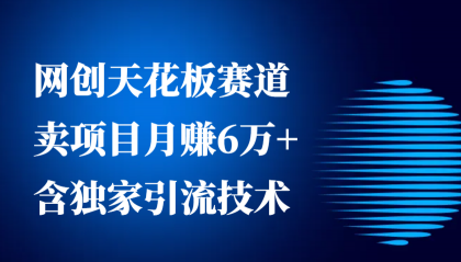 网创天花板赛道,卖项目月赚6万+,含独家引流技术(共26节课)-颜夕资源网-第23张图片 网创天花板赛道,卖项目月赚6万+,含独家引流技术(共26节课)-颜夕资源网-第23张图片
