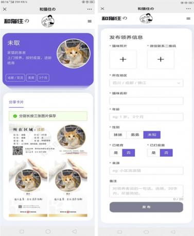 流浪猫流浪狗领养源码-颜夕资源网-第24张图片 流浪猫流浪狗领养源码-颜夕资源网-第24张图片