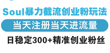 Soul暴力截流创业粉玩法,当天注册当天进流量,日稳定300+精准创业粉丝-颜夕资源网-第23张图片 Soul暴力截流创业粉玩法,当天注册当天进流量,日稳定300+精准创业粉丝-颜夕资源网-第23张图片
