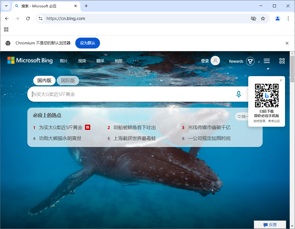 Ungoogled-Chromium v133.0.6943.98-1.1 中文绿色版-颜夕资源网-第23张图片 Ungoogled-Chromium v133.0.6943.98-1.1 中文绿色版-颜夕资源网-第23张图片