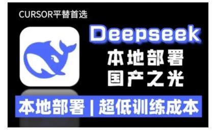 2025年deepseek R1 大型模型当地部署应用(文档 实例教程)本地部署,极低练习成本费-颜夕资源网-第23张图片 2025年deepseek R1 大型模型当地部署应用(文档 实例教程)本地部署,极低练习成本费-颜夕资源网-第23张图片