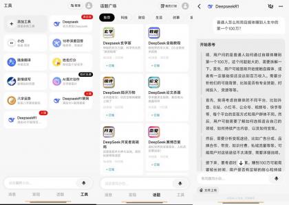 问小白-DeepSeek满血版无限制-颜夕资源网-第23张图片 问小白-DeepSeek满血版无限制-颜夕资源网-第23张图片
