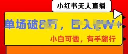 小红书无人直播,纯小白可做,有手就行,单场直播销售额破8w-颜夕资源网-第23张图片 小红书无人直播,纯小白可做,有手就行,单场直播销售额破8w-颜夕资源网-第23张图片
