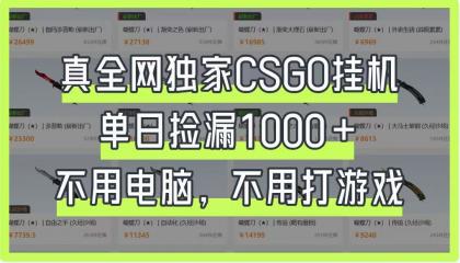 CSGO挂机,单日捡漏1000+,不用电脑,不用养号-颜夕资源网-第23张图片 CSGO挂机,单日捡漏1000+,不用电脑,不用养号-颜夕资源网-第23张图片