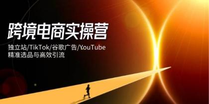 跨境电商实操营:独立站/TikTok/谷歌广告/YouTube,精准选品与高效引流-颜夕资源网-第23张图片 跨境电商实操营:独立站/TikTok/谷歌广告/YouTube,精准选品与高效引流-颜夕资源网-第23张图片