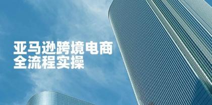 亚马逊跨境电商全流程实操,教你从零开始,掌握店铺运营与广告技巧-颜夕资源网-第23张图片 亚马逊跨境电商全流程实操,教你从零开始,掌握店铺运营与广告技巧-颜夕资源网-第23张图片