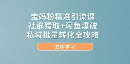 宝妈粉精准引流课,社群猎取+闲鱼爆破,私域批量转化全攻略-颜夕资源网-第23张图片 宝妈粉精准引流课,社群猎取+闲鱼爆破,私域批量转化全攻略-颜夕资源网-第23张图片