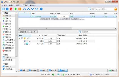 qBittorrent(强大的BT下载工具)v5.1.0.10中文绿色增强版-颜夕资源网-第23张图片 qBittorrent(强大的BT下载工具)v5.1.0.10中文绿色增强版-颜夕资源网-第23张图片