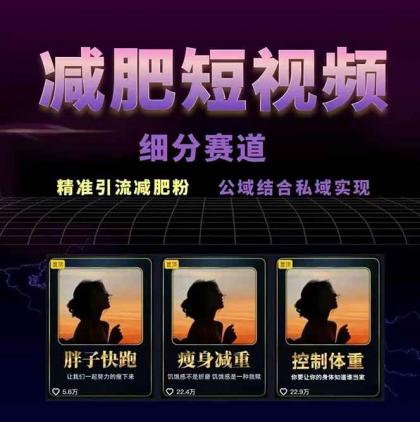 减肥短视频运营实战课:含素材制作、剪映教学,讲精准引流、变现设计与内容模板技巧-颜夕资源网-第24张图片 减肥短视频运营实战课:含素材制作、剪映教学,讲精准引流、变现设计与内容模板技巧-颜夕资源网-第24张图片