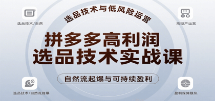 拼多多高利润选品技术实战课,手把手教学自然流高投产起爆,实现低风险可持续盈利-颜夕资源网-第23张图片 拼多多高利润选品技术实战课,手把手教学自然流高投产起爆,实现低风险可持续盈利-颜夕资源网-第23张图片