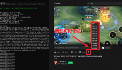 视频号下载器!支持直播回放下载,使用超简单,一键下载为MP4格式-颜夕资源网-第25张图片 视频号下载器!支持直播回放下载,使用超简单,一键下载为MP4格式-颜夕资源网-第25张图片