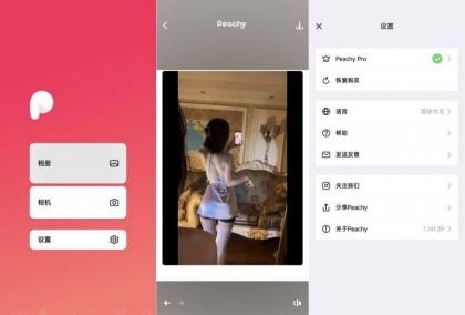 peachy抠图、P图、滤镜解锁会员版-颜夕资源网-第23张图片 peachy抠图、P图、滤镜解锁会员版-颜夕资源网-第23张图片