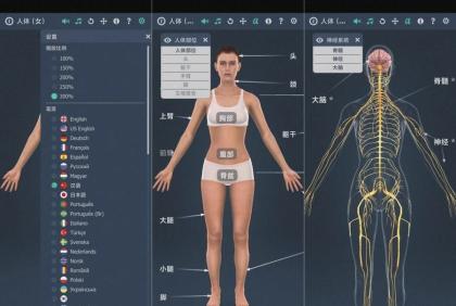 人体系统女性3D-1.0详细介绍女性全身系统~无广版-颜夕资源网-第23张图片 人体系统女性3D-1.0详细介绍女性全身系统~无广版-颜夕资源网-第23张图片