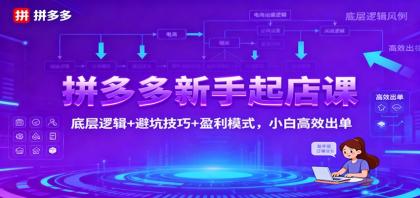 拼多多新手起店课:底层逻辑+避坑技巧+盈利模式,小白高效出单-颜夕资源网-第23张图片 拼多多新手起店课:底层逻辑+避坑技巧+盈利模式,小白高效出单-颜夕资源网-第23张图片