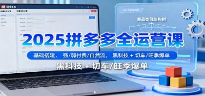 2025拼多多全运营课:基础搭建,强/弱付费/自然流,黑科技 + 切车/旺季爆单-颜夕资源网-第23张图片 2025拼多多全运营课:基础搭建,强/弱付费/自然流,黑科技 + 切车/旺季爆单-颜夕资源网-第23张图片