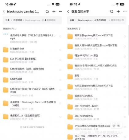 Blackmagic Cam Lut包影视飓风+馆长Lut 木木等滤镜包-颜夕资源网-第24张图片 Blackmagic Cam Lut包影视飓风+馆长Lut 木木等滤镜包-颜夕资源网-第24张图片