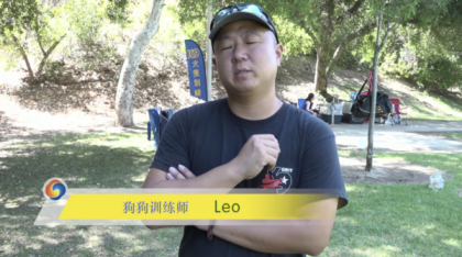 宠物训练-训狗教程Dog Training-颜夕资源网-第23张图片 宠物训练-训狗教程Dog Training-颜夕资源网-第23张图片