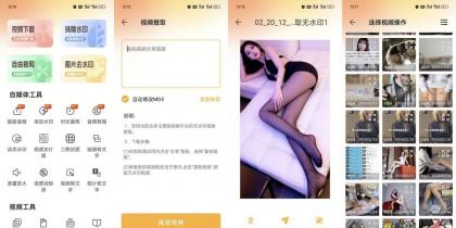 视频下载去水印22支持全网主流平台秒解析解锁会员-颜夕资源网-第23张图片 视频下载去水印22支持全网主流平台秒解析解锁会员-颜夕资源网-第23张图片