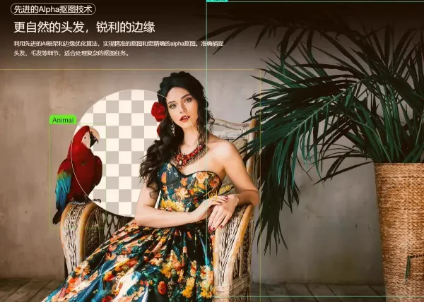 智能抠图 Matting2.6 一键快速抠图 PS 修图影楼设计 AI 抠图工具-颜夕资源网-第25张图片 智能抠图 Matting2.6 一键快速抠图 PS 修图影楼设计 AI 抠图工具-颜夕资源网-第25张图片