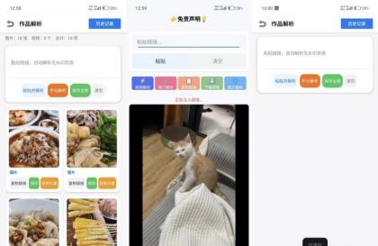 小沙雕下载器1.0多平台去水印-颜夕资源网-第23张图片