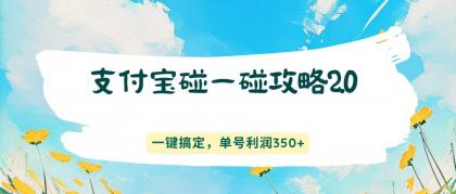 支付宝碰一碰攻略2.0,一键搞定,单号利润350+-颜夕资源网-第23张图片 支付宝碰一碰攻略2.0,一键搞定,单号利润350+-颜夕资源网-第23张图片