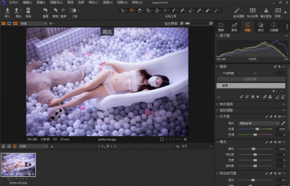 Capture One 23 RAW图像处理软件 v16.8.3.3645 中文破解版